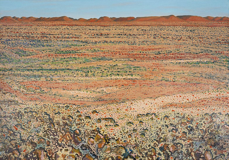BRUCE BACKHOUSE, From above Dedeben Pan looking East, Tswalu
2019, OIL  ON CANVAS