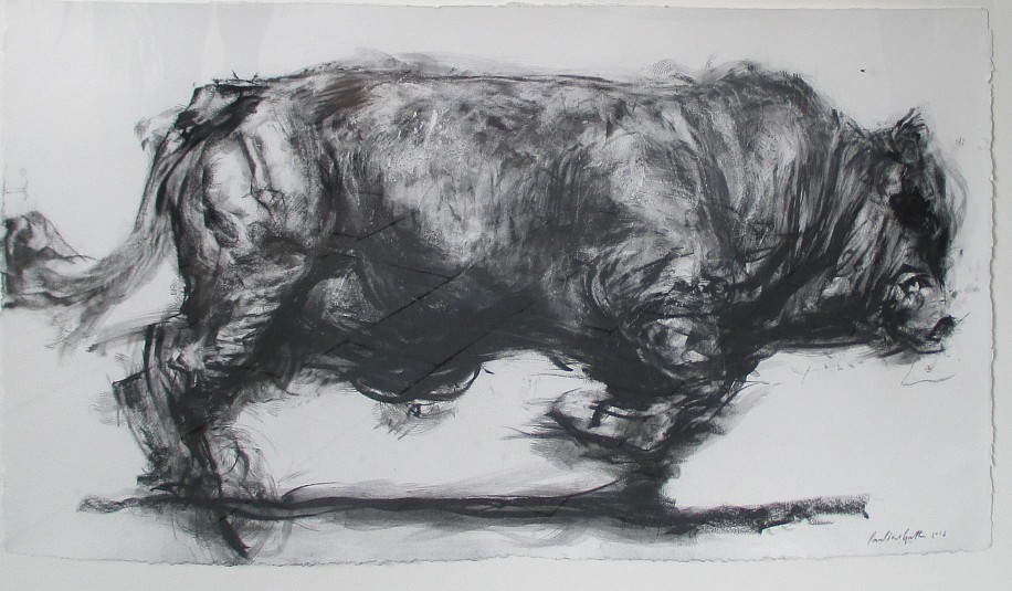 PAULINE GUTTER, STORMING BULL
2016, CHARCOAL ON PAPER