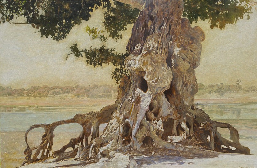 LEIGH VOIGT, FICUS SYCOMORUS
OIL ON CANVAS