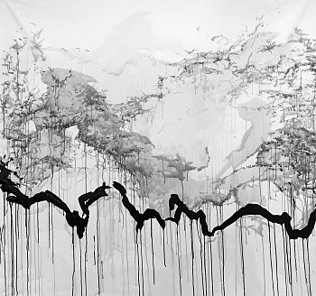 Shadow Scape exploration