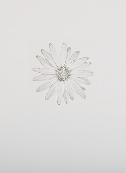 TOWARDS THIRD SPRING