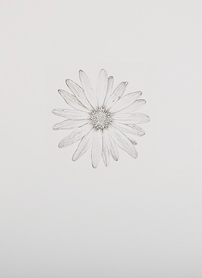 JANE EPPEL, TOWARDS THIRD SPRING) 1/20
COPPERPLATE ETCHING (HARDGROUND)