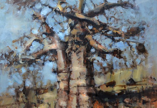 Baobab Tree near Mopani Camp 182cm x 182cm Oil on Canvas copy