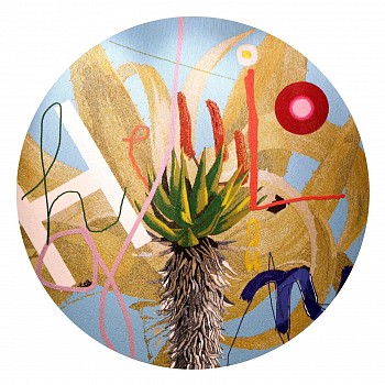 Wayne Barker, Hello Aloe small