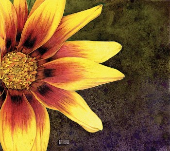 060 Pearl Dechalain Gazania krebsiana exhibit scan.SMALL