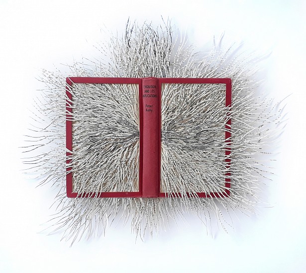 BARBARA WILDENBOER, EVOLUTION AND ITS IMPLICATIONS
ALTERED BOOK (HAND CUT)