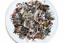 Mixed species assemblages III