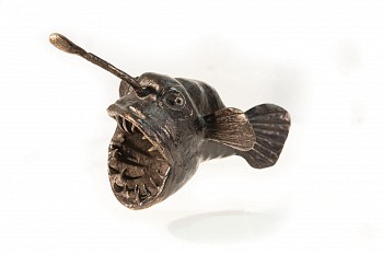02 Angler fish