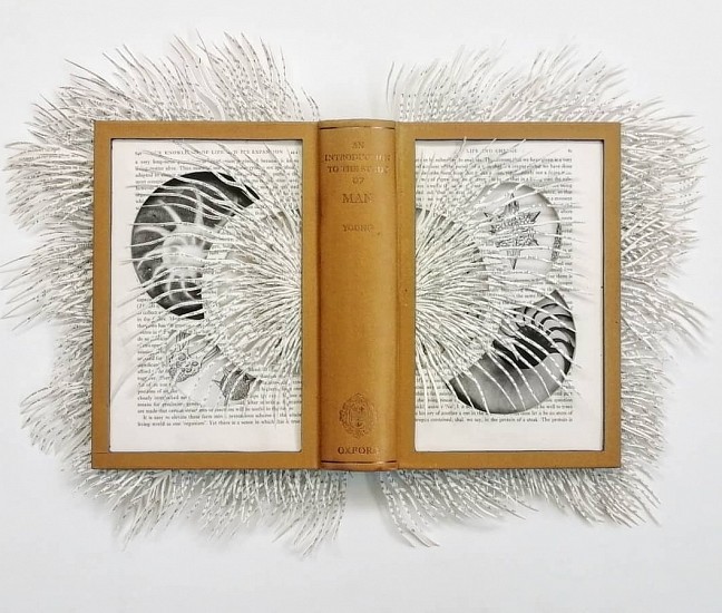 BARBARA WILDENBOER, THE STUDY OF MAN
2020, Altered book