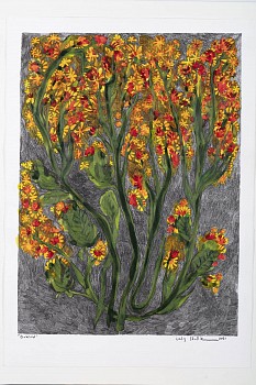 Lady Skollie, Onkruid