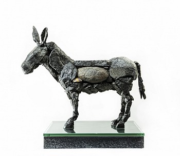 3. Collectors edition