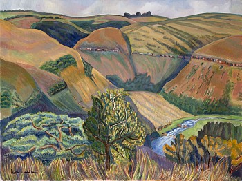 umgeni river valley e haden