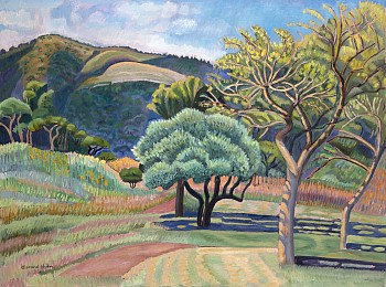 indigenous trees at cumberland e haden