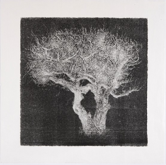 RINA STUTZER, UNTIL THE TREES BRING ME TO MIND III
BLACK INK ON HANDMADE CONDA RICE PAPER