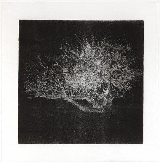 RINA STUTZER, UNTIL THE TREES BRING ME TO MIND IV
BLACK INK ON HANDMADE CONDA RICE PAPER