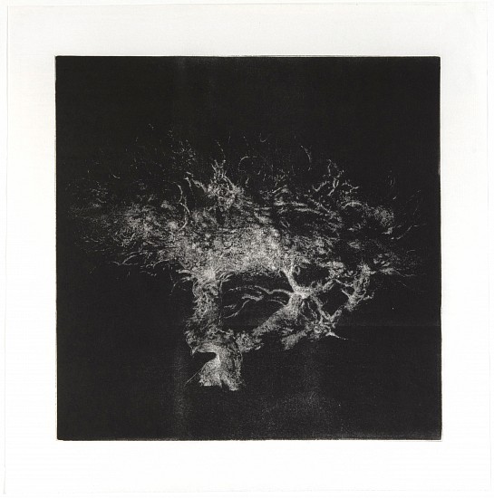 RINA STUTZER, UNTIL THE TREES BRING ME TO MIND XI
BOOK BLACK INK ON HANDMADE RICE PAPER