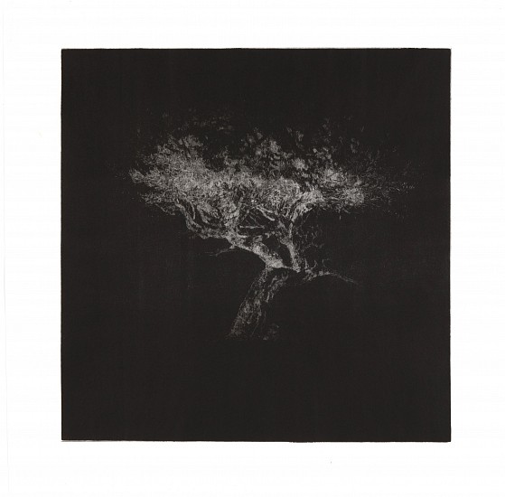 RINA STUTZER, UNTIL THE TREES BRING ME TO MIND XII
BLACK INK ON HANDMADE CONDA RICE PAPER