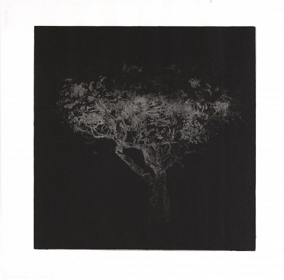RINA STUTZER, UNTIL THE TREES BRING ME TO MIND XXI
BOOK BLACK INK ON HANDMADE CONDA RICE PAPER