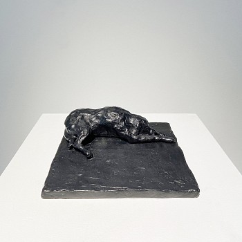 gentle fellow creature bella .jpeg