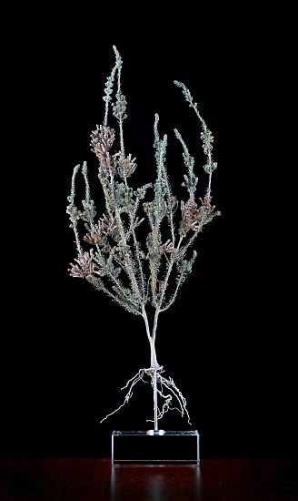 NIC BLADEN, ERICA CURVIFLORA
BRONZE