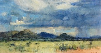 afternoon thunderstorm tswalu thornveld 75cm x 140cm oil on canvas