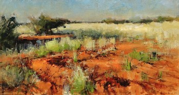 gordonia duneveld with camelthorn tswalu 75cm x 140cm oil on canvas