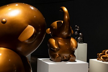 29 01 2024 BrettMurray