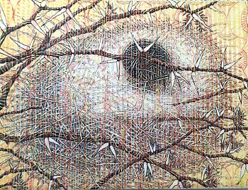 9 pleated weavers nest with redblue stripes 114 x 150