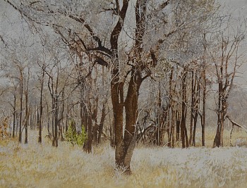 7. tamboeti grove in winter. oil on canvas 100 x 130 cm r290