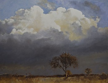8. storm cloud. oil on canvas 100 x 130 cm. r290.000