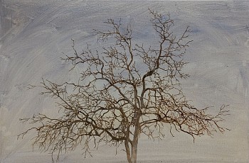 9. dead leadwood near satara oil on canvas 40 x 60cm r80