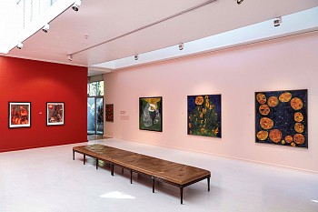 lady skollie exhibit