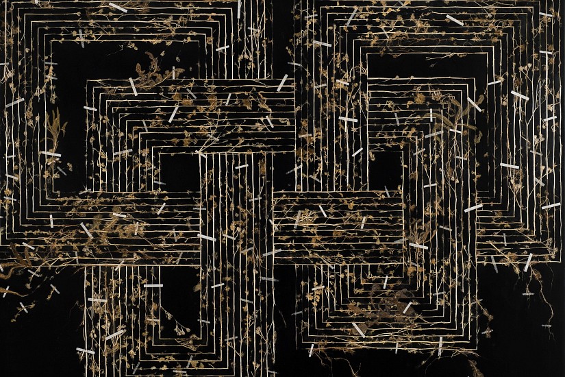 GERHARD MARX, DWELLING DRAWING I
PLANT MATERIAL AND ACRYLIC GROUND ON CANVAS AND BOARD
