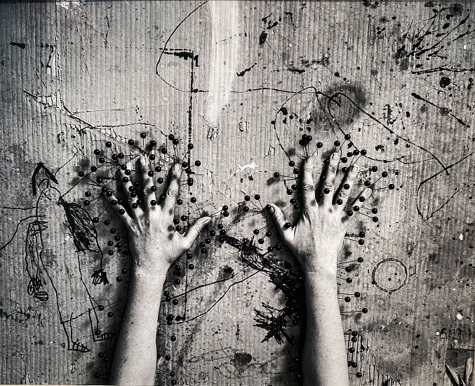 SANELL AGGENBACH, FLORES FERAE (BROAD)
2022, -<br />
CARBON BASED INKS ON HAHNEMUEHLE MUSEUM ETCHING 350GSM PAPER