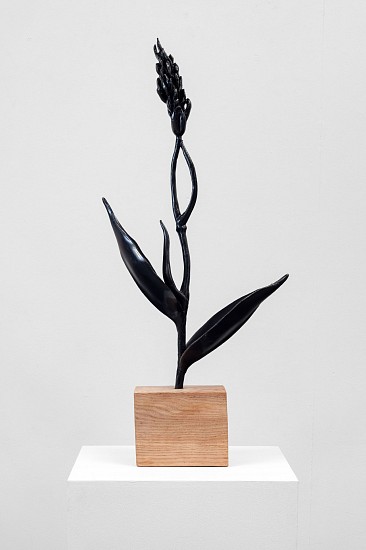 SANELL AGGENBACH, FUTURE PROOF: CANNA
2022, CAMPHOR WOOD, COPPER, OXIDE AND BASE