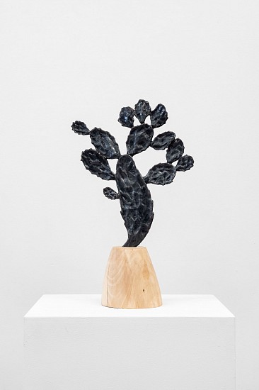 SANELL AGGENBACH, FUTURE PROOF: DROOPING PRICKLY PEAR
2023, CAMPHOR WOOD, COPPER, OXIDE AND BASE
