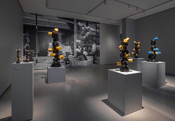 698de107384f117de1977839 wild life 2025 2026