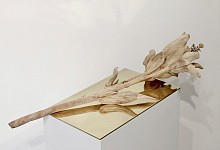 ac54573.jpg
