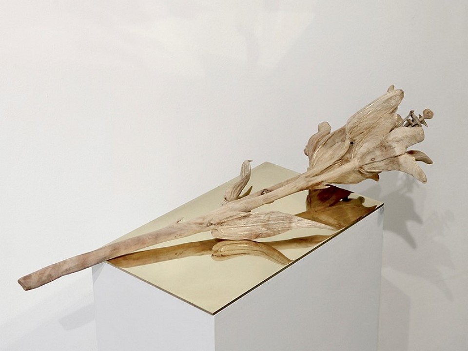 ac54573.jpg