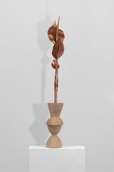 SANELL AGGENBACH, FOREIGN BODIES: ARROWROOT
2026, CAMPHOR WOOD AND METAL