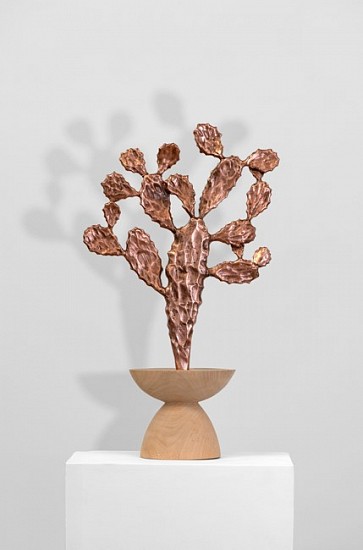 SANELL AGGENBACH, FOREIGN BODIES: PRICKLY PEAR
2026, CAMPHOR WOOD AND METAL