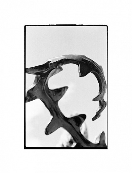 SANELL AGGENBACH, NO 4
PHOTOGRAPHIC PRINT