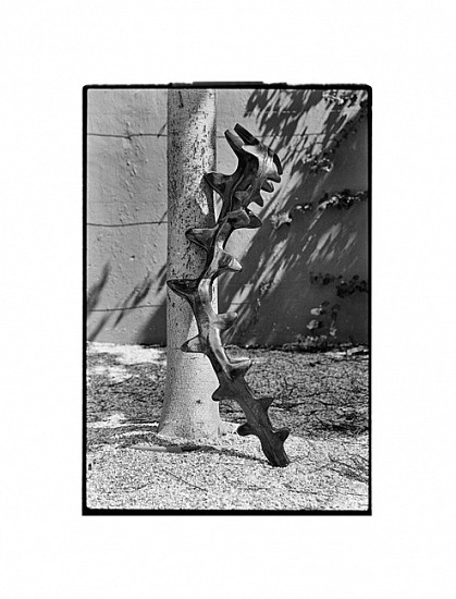 SANELL AGGENBACH, NO 3
PHOTOGRAPHIC PRINT