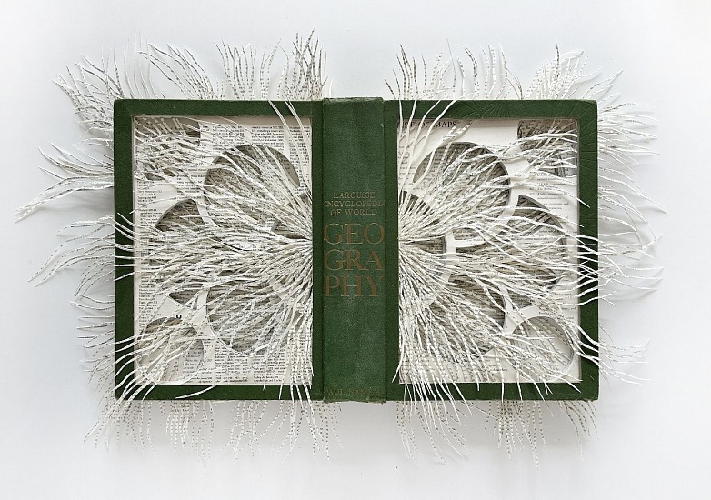BARBARA WILDENBOER, GEOGRAPHY
2026, Altered book